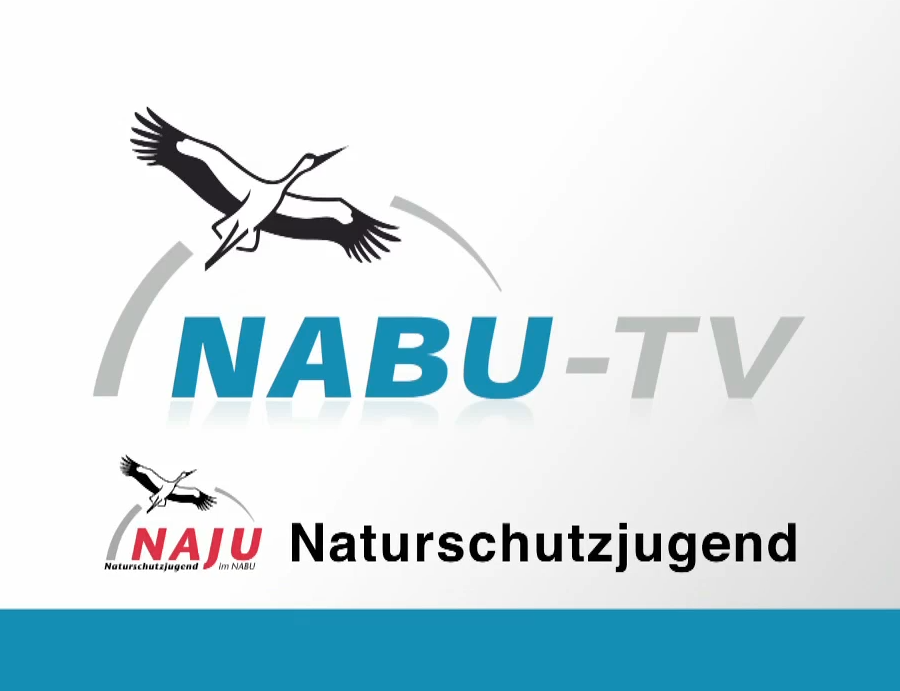 nabu-tv, redaktion yvonne Schönherr